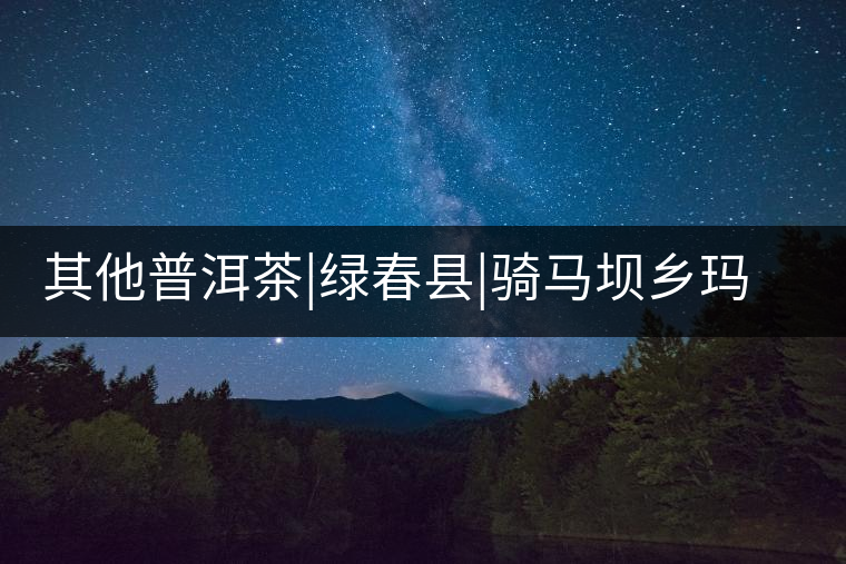 其他普洱茶|綠春縣|騎馬壩鄉瑪玉村古茶園 其他普洱茶|綠春縣|騎馬壩鄉瑪玉村古茶園