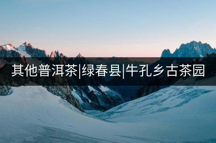 其他普洱茶|綠春縣|牛孔鄉古茶園