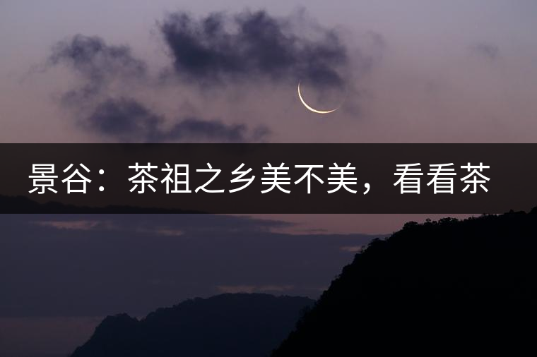 景谷：茶祖之鄉美不美，看看茶山和美人