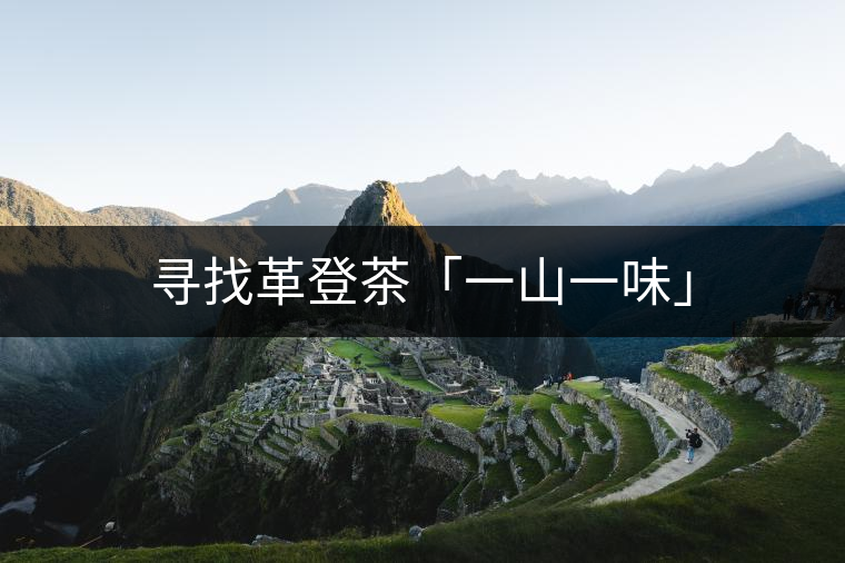 尋找革登茶「一山一味」 尋找革登茶「一山一味」