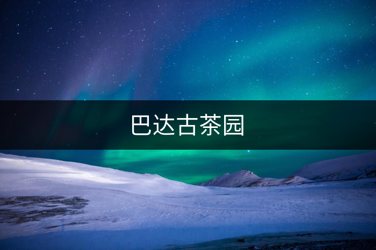 巴達古茶園 巴達古茶園