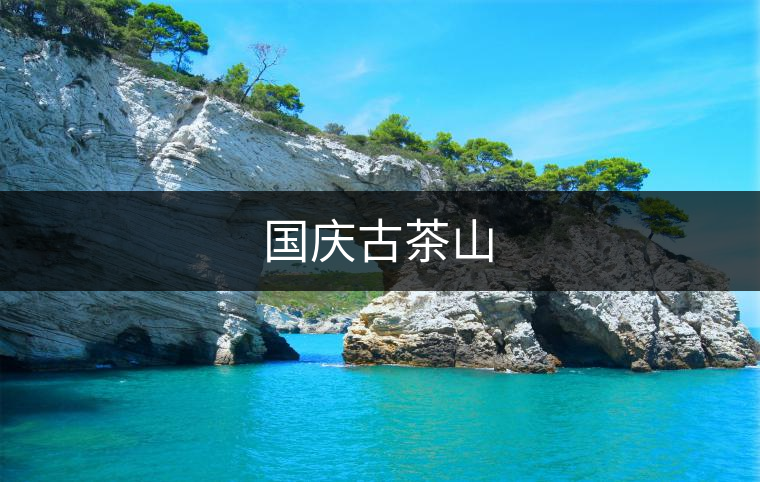 國慶古茶山 國慶古茶山