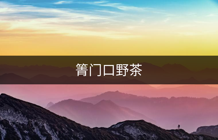 箐門口野茶 箐門口野茶