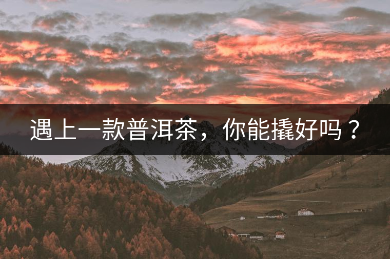 遇上一款普洱茶,你能撬好嗎 ? 遇上一款普洱茶,你能撬好嗎 ?