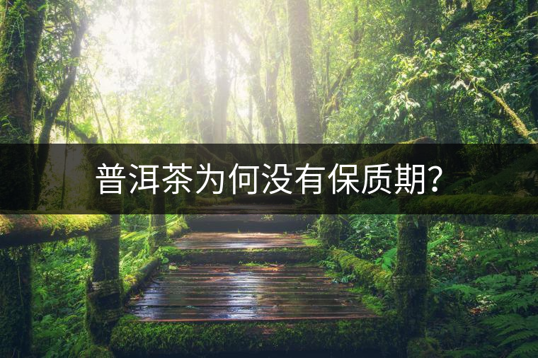 普洱茶為何沒有保質(zhì)期? 普洱茶為何沒有保質(zhì)期?