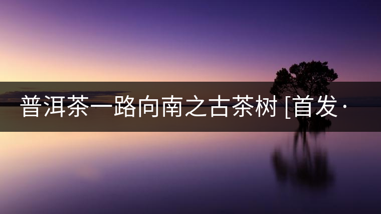 普洱茶一路向南之古茶樹 [首發·品茗鑒山專欄]