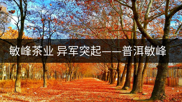 敏峰茶業 異軍突起——普洱敏峰茶業有限公司紀實