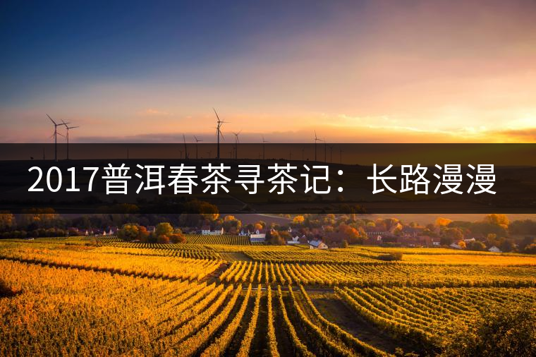 2017普洱春茶尋茶記:長路漫漫老班章 2017普洱春茶尋茶記:長路漫漫老班章