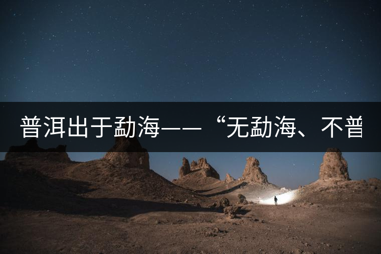 普洱出于勐海——“無勐海、不普洱” 普洱出于勐海——“無勐海、不普洱”