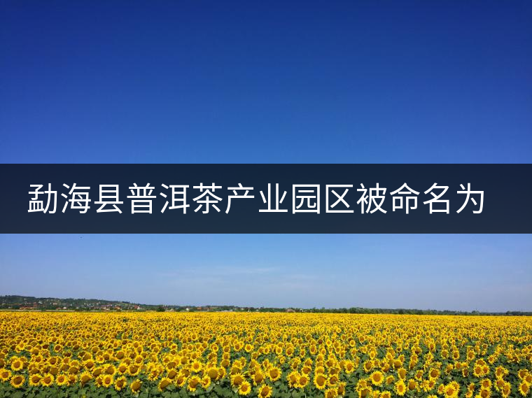 勐海縣普洱茶產(chǎn)業(yè)園區(qū)被命名為 勐海縣普洱茶產(chǎn)業(yè)園區(qū)被命名為