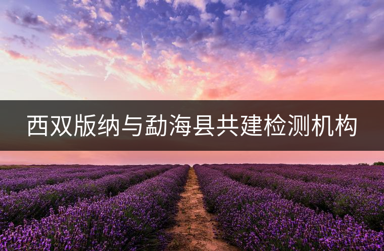 西雙版納與勐海縣共建檢測(cè)機(jī)構(gòu) 西雙版納與勐海縣共建檢測(cè)機(jī)構(gòu)