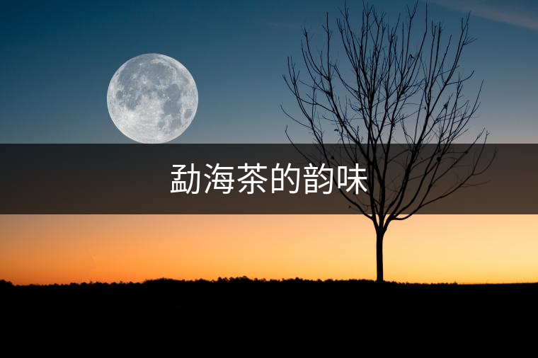 勐海茶的韻味 勐海茶的韻味