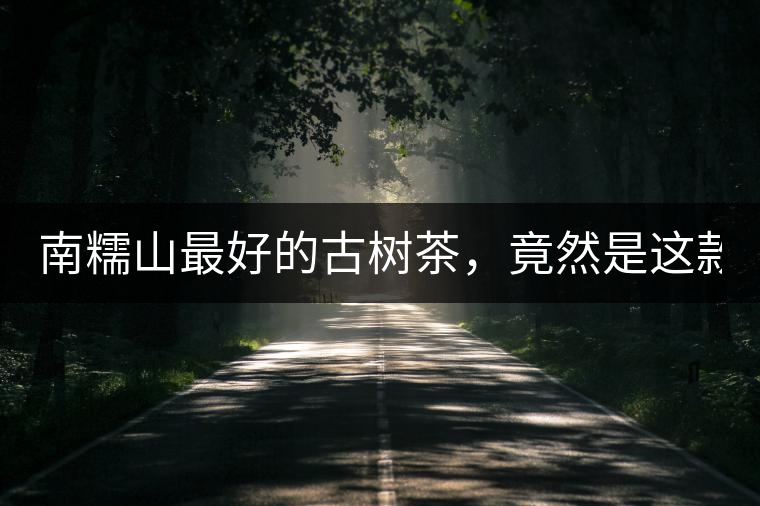 南糯山最好的古樹茶，竟然是這款！