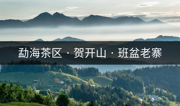 勐海茶區(qū) · 賀開山 · 班盆老寨 勐海茶區(qū) · 賀開山 · 班盆老寨