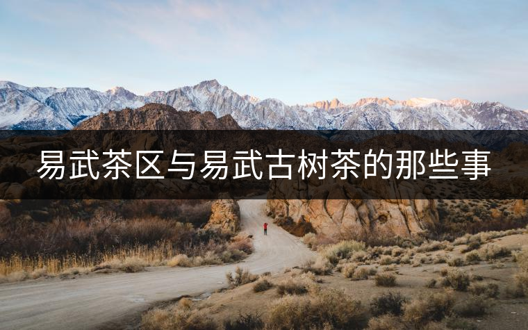 易武茶區與易武古樹茶的那些事