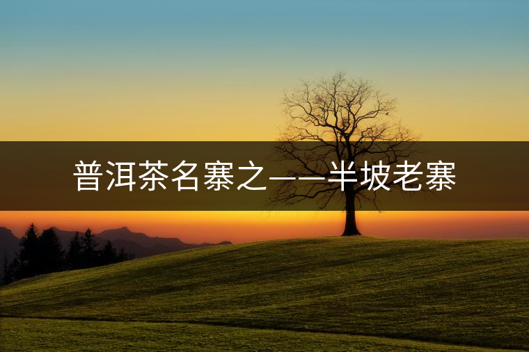 普洱茶名寨之——半坡老寨 普洱茶名寨之——半坡老寨