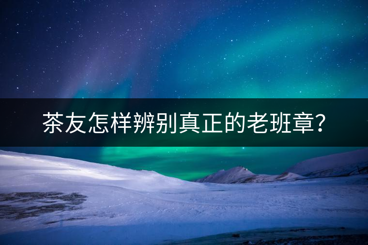 茶友怎樣辨別真正的老班章？