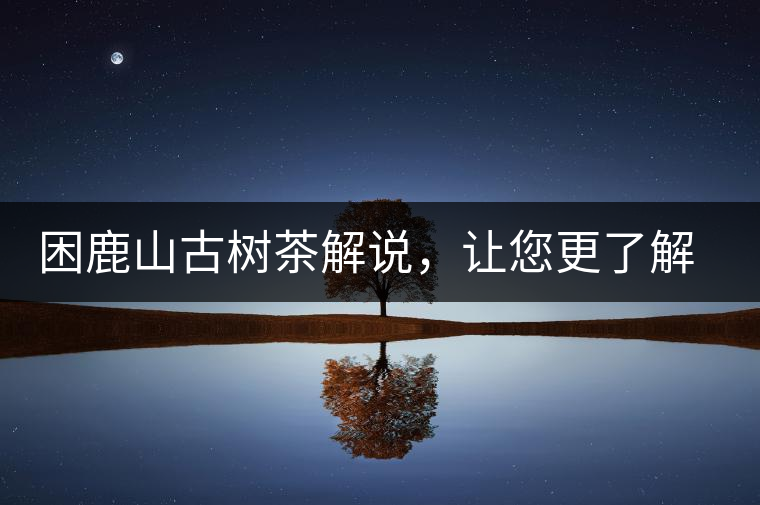 困鹿山古樹茶解說,讓您更了解古樹貢茶 困鹿山古樹茶解說,讓您更了解古樹貢茶