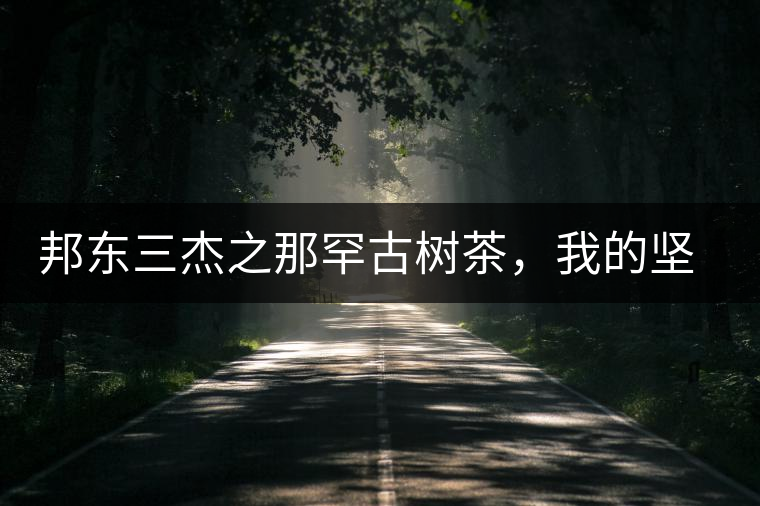 邦東三杰之那罕古樹茶,我的堅持 邦東三杰之那罕古樹茶,我的堅持