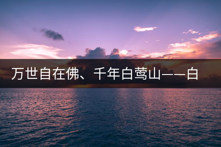 萬世自在佛、千年白鶯山——白鶯山古樹茶特點