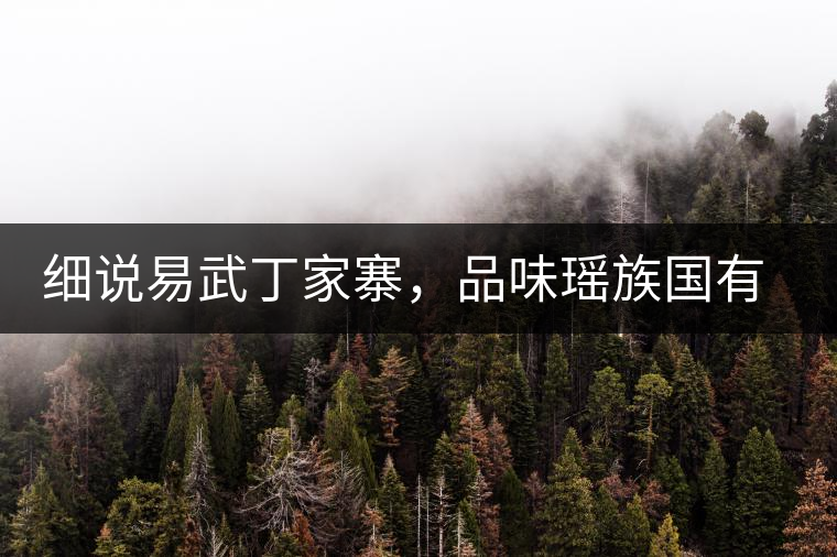 細說易武丁家寨,品味瑤族國有林古樹普洱茶 細說易武丁家寨,品味瑤族國有林古樹普洱茶