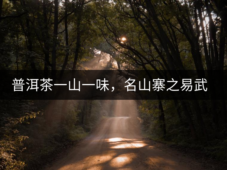 普洱茶一山一味，名山寨之易武彎弓瑤族丁家寨