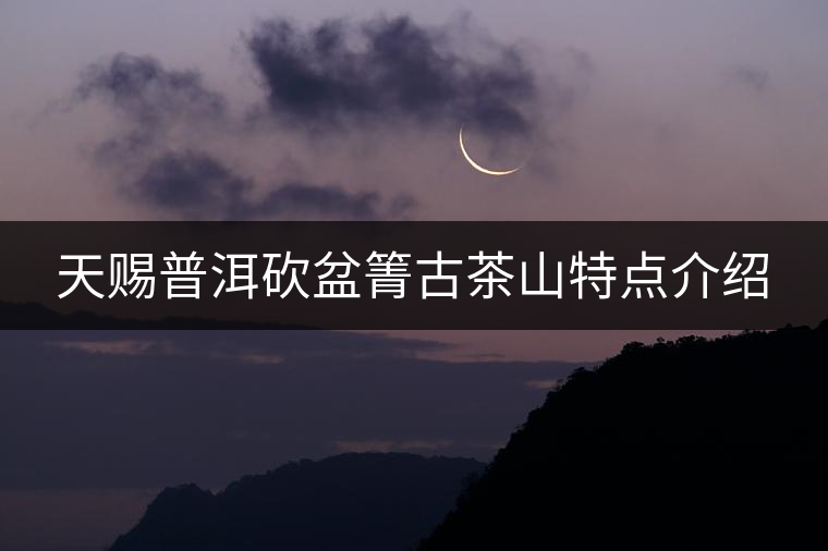 天賜普洱砍盆箐古茶山特點介紹 天賜普洱砍盆箐古茶山特點介紹