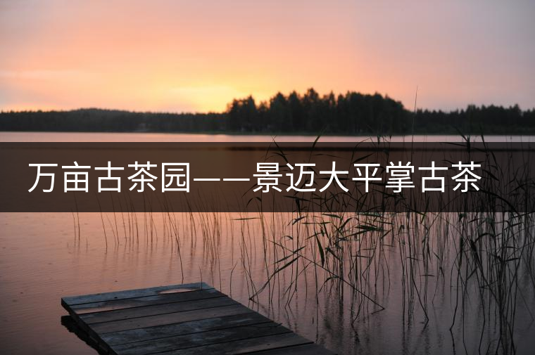 萬(wàn)畝古茶園——景邁大平掌古茶園 萬(wàn)畝古茶園——景邁大平掌古茶園