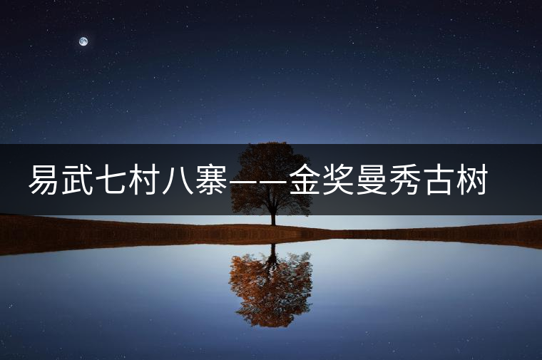 易武七村八寨——金獎(jiǎng)曼秀古樹(shù)茶 易武七村八寨——金獎(jiǎng)曼秀古樹(shù)茶