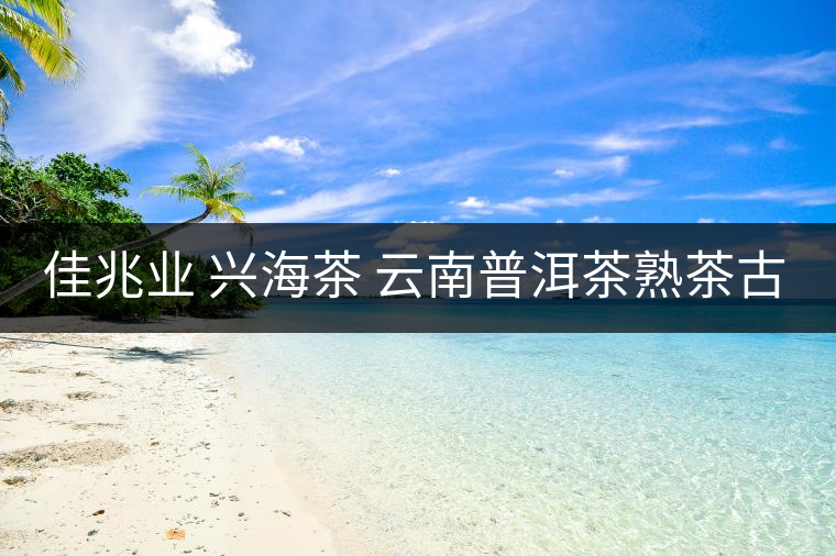 佳兆業 興海茶 云南普洱茶熟茶古樹小沱茶勐海茶葉小粒裝60g