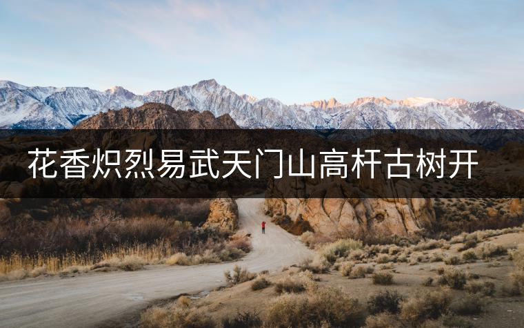 花香熾烈易武天門山高桿古樹開湯鑒賞 花香熾烈易武天門山高桿古樹開湯鑒賞