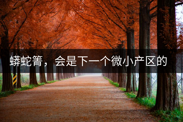 蟒蛇箐,會是下一個微小產區的熱門山頭嗎? 蟒蛇箐,會是下一個微小產區的熱門山頭嗎?