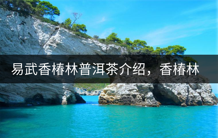 易武香椿林普洱茶介紹,香椿林古樹茶口感特點 易武香椿林普洱茶介紹,香椿林古樹茶口感特點