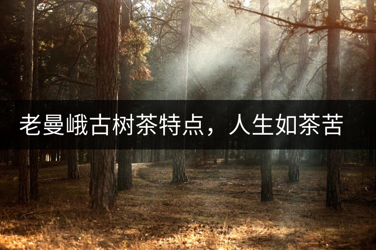 老曼峨古樹茶特點，人生如茶苦盡甘來