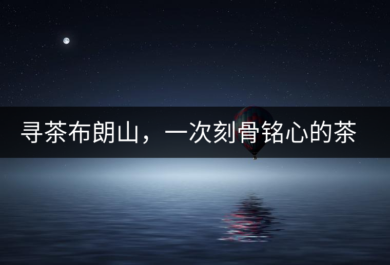 尋茶布朗山,一次刻骨銘心的茶山行 尋茶布朗山,一次刻骨銘心的茶山行