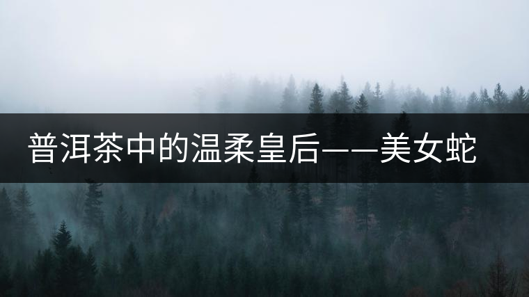 普洱茶中的溫柔皇后——美女蛇居住之地易武古樹茶區
