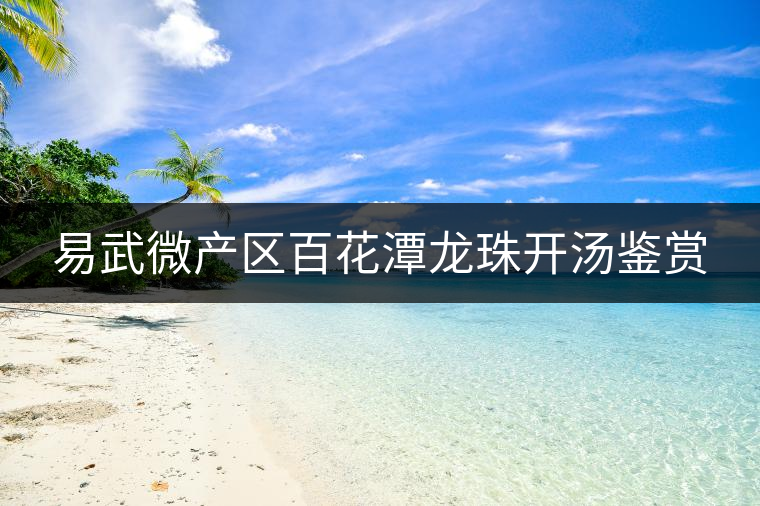 易武微產區百花潭龍珠開湯鑒賞 易武微產區百花潭龍珠開湯鑒賞