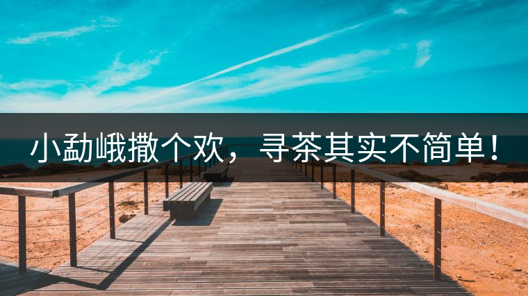 小勐峨撒個歡，尋茶其實不簡單！
