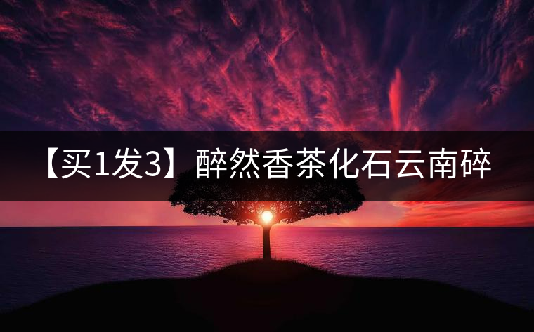 【買1發3】醉然香茶化石云南碎銀子普洱茶古樹茶糯米香茶葉共375g 【買1發3】醉然香茶化石云南碎銀子普洱茶古樹茶糯米香茶葉共375g