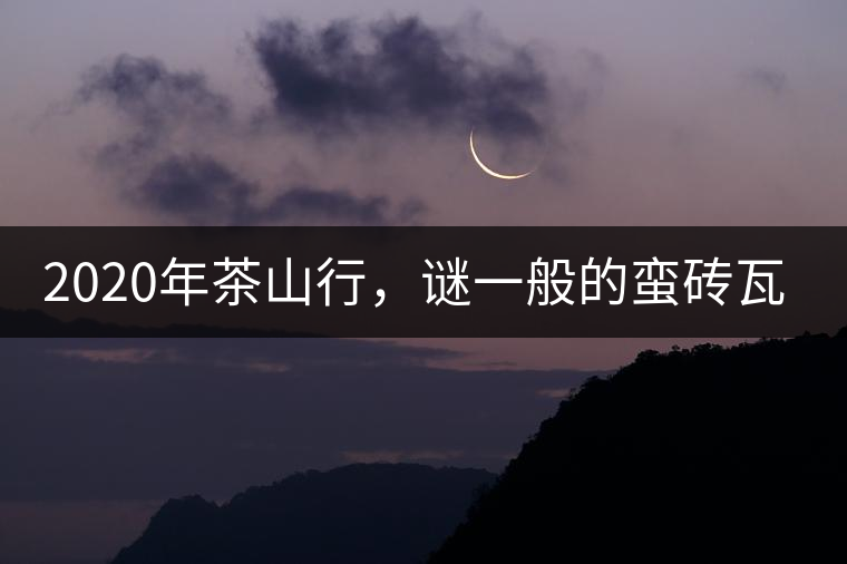 2020年茶山行,謎一般的蠻磚瓦竜古茶山 2020年茶山行,謎一般的蠻磚瓦竜古茶山