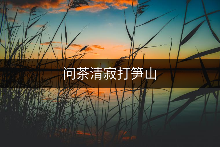 問茶清寂打筍山 問茶清寂打筍山