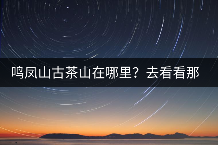 鳴鳳山古茶山在哪里?去看看那鳳凰曾經落腳的地方 鳴鳳山古茶山在哪里?去看看那鳳凰曾經落腳的地方