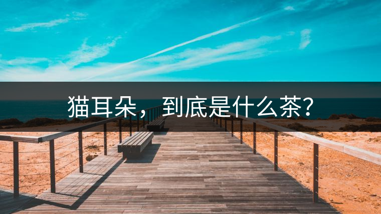 貓耳朵,到底是什么茶? 貓耳朵,到底是什么茶?