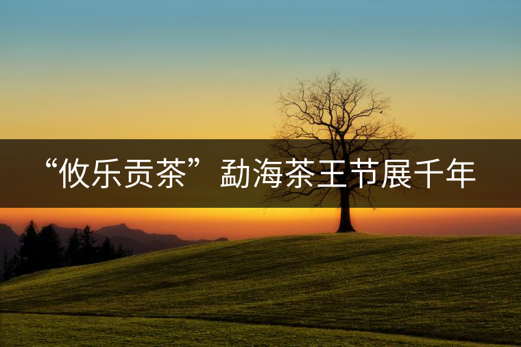 “攸樂貢茶”勐海茶王節展千年文化魅力 “攸樂貢茶”勐海茶王節展千年文化魅力