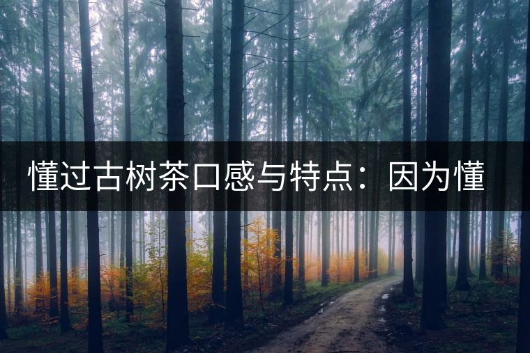 懂過古樹茶口感與特點：因為懂得，所以舍得用余生來珍惜！