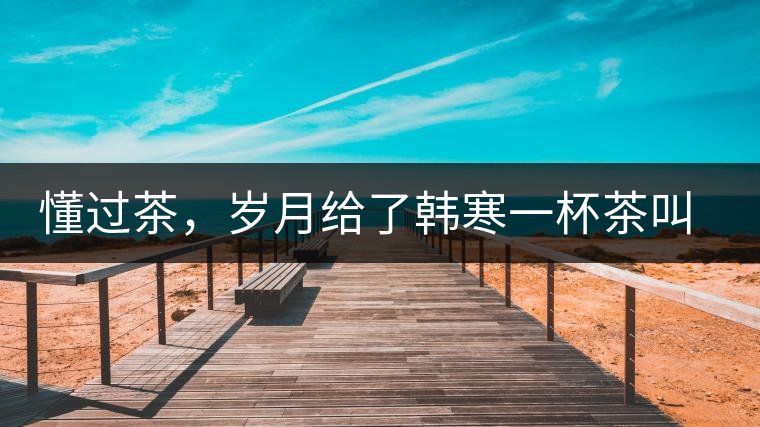 懂過茶，歲月給了韓寒一杯茶叫懂過