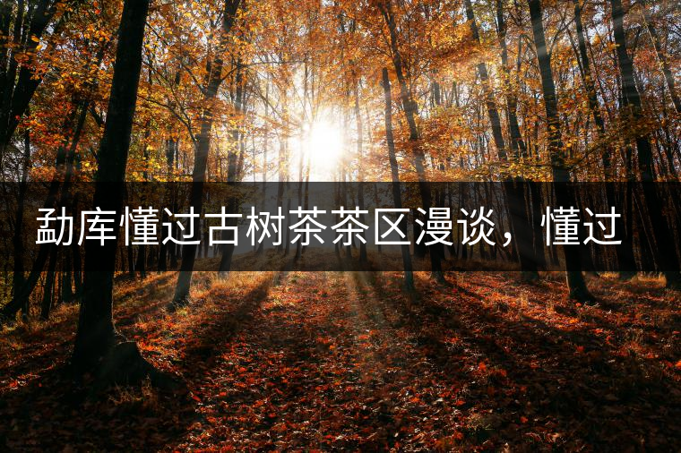 勐庫懂過古樹茶茶區漫談,懂過古樹茶的特點 勐庫懂過古樹茶茶區漫談,懂過古樹茶的特點