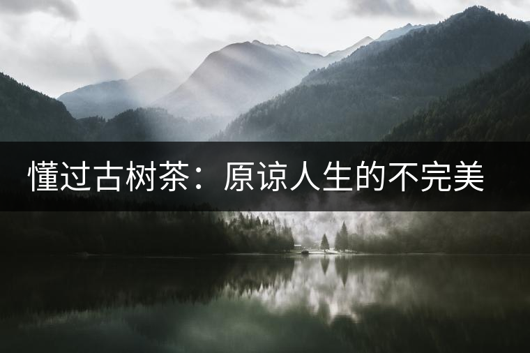 懂過古樹茶：原諒人生的不完美，多一次心靈的回歸！