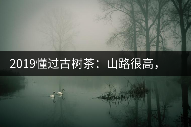2019懂過古樹茶:山路很高,可仍然有執(zhí)著走向深山的人 2019懂過古樹茶:山路很高,可仍然有執(zhí)著走向深山的人