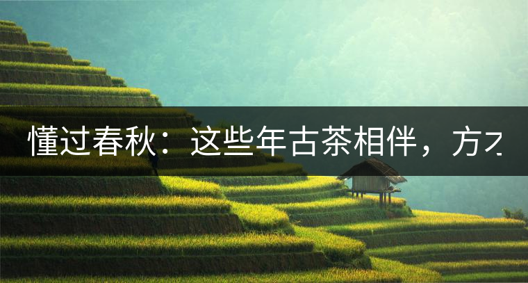 懂過春秋:這些年古茶相伴,方才懂過! 懂過春秋:這些年古茶相伴,方才懂過!